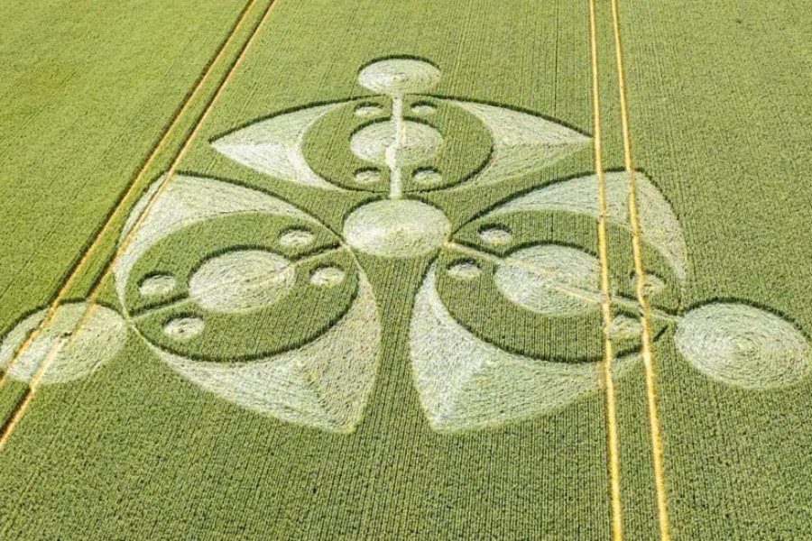 'Eye-shaped' crop circle found in farmer's field
