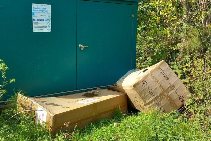 Two delivery drivers fined £1,000 each for fly-tipping in Wiltshire