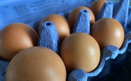 Vulnerable groups warned to avoid runny eggs when eating out amid Salmonella outbreak