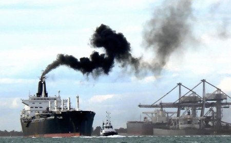 Cruise ship pollution may help viruses spread, Southampton study suggests