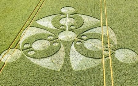 'Eye-shaped' crop circle found in farmer's field