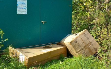 Two delivery drivers fined £1,000 each for fly-tipping in Wiltshire