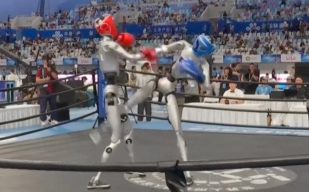 China's robot Olympics sees humanoid robots sprint, fight and perform Tai Chi